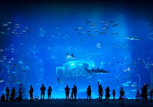 Poema del Mar Aquarium