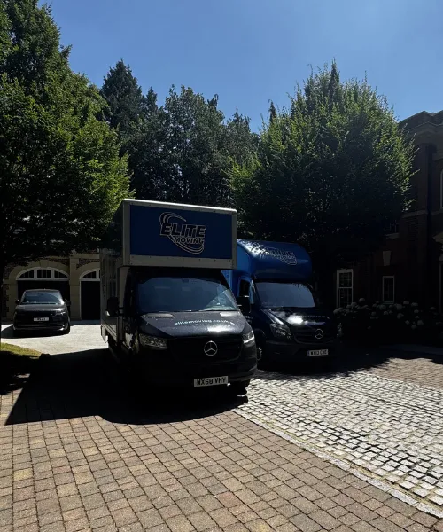 Professional Services for a Seamless Relocation